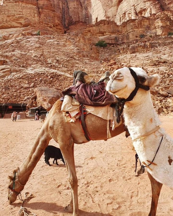 Bed and Breakfast Bedouin Memories Camp Wadi Rum Exterior foto